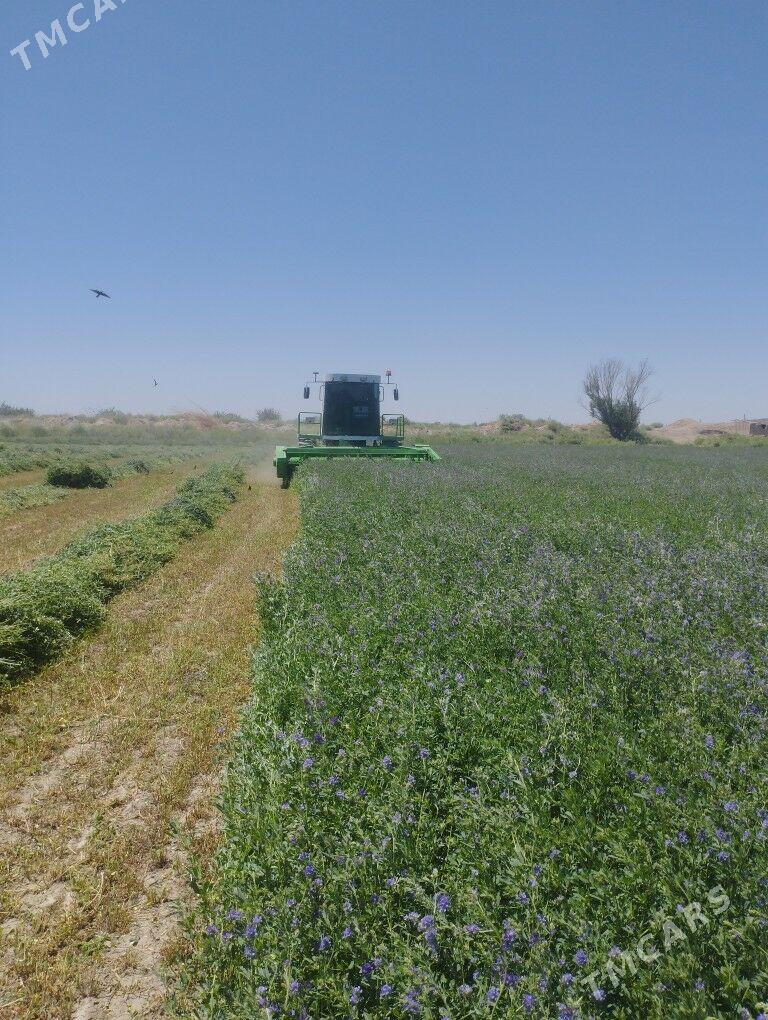 MTZ 80 2022 - 220 000 TMT - Garabekewül - img 1