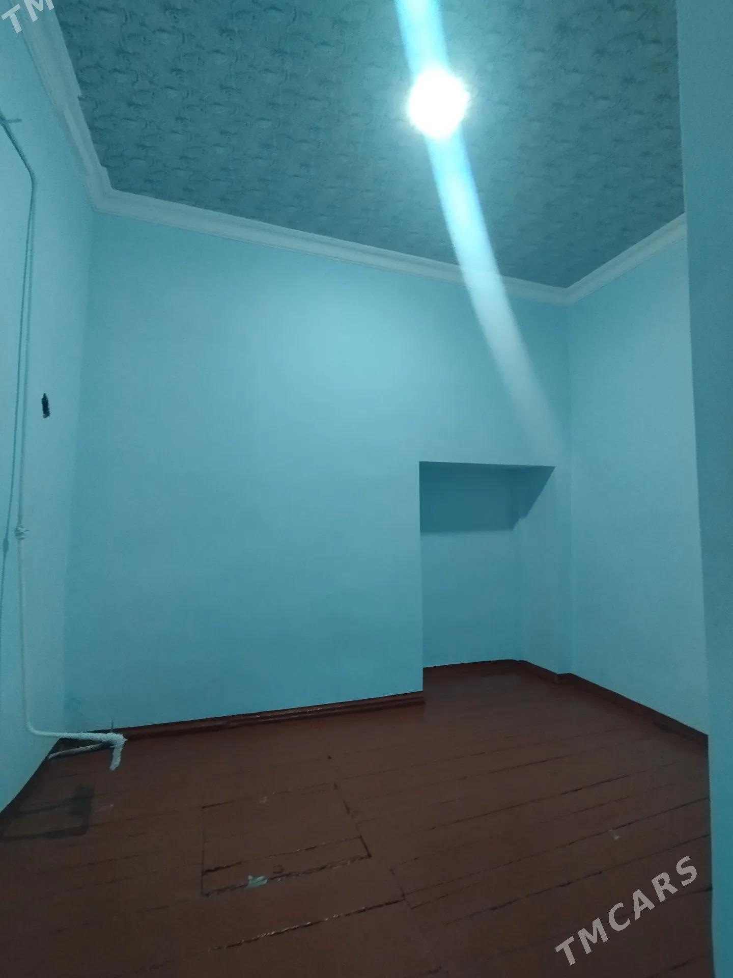 Satlyk jay - Mary - img 3