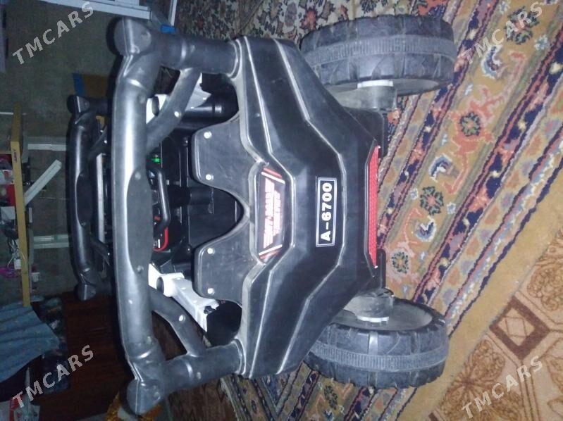 tokly masyn - Sakarçäge - img 3