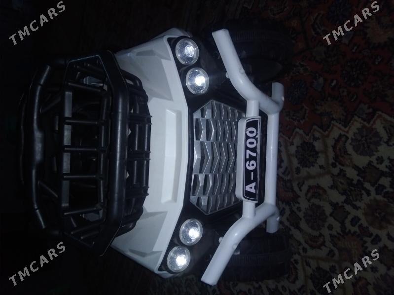 tokly masyn - Sakarçäge - img 4