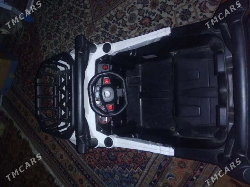 tokly masyn - Sakarçäge - img 2