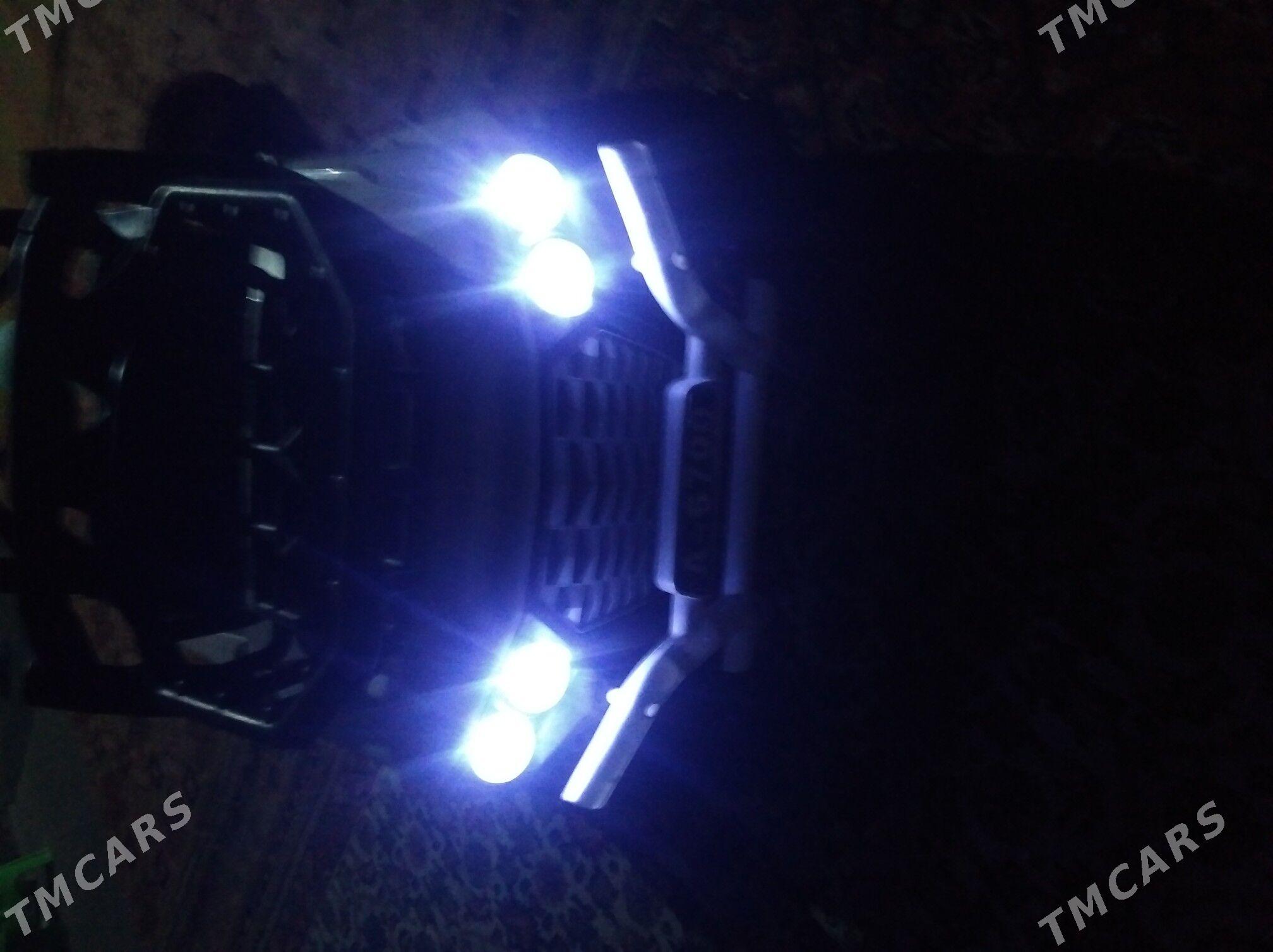 tokly masyn - Sakarçäge - img 1