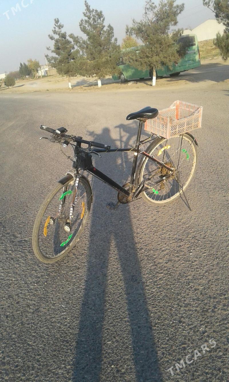 spatywny28 - Mary - img 2