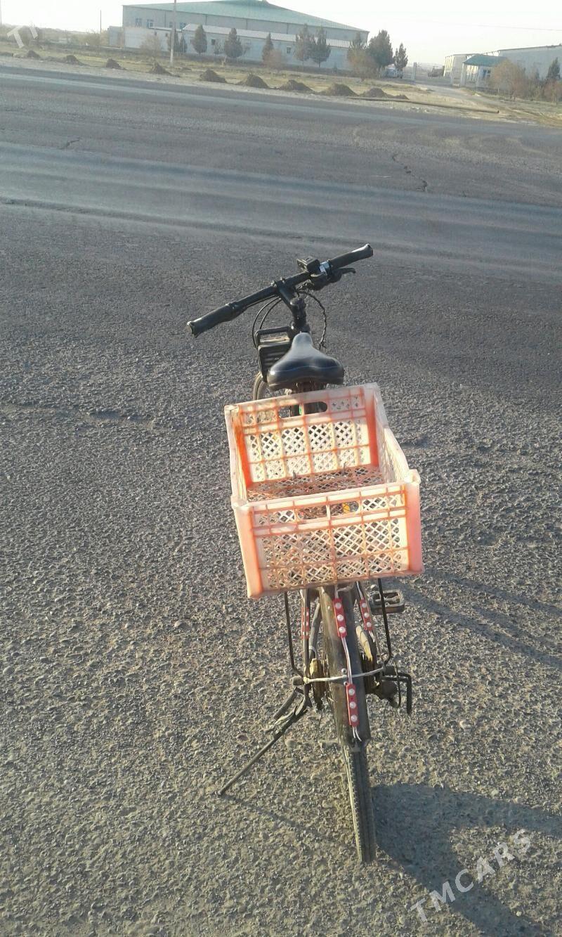 spatywny28 - Mary - img 3