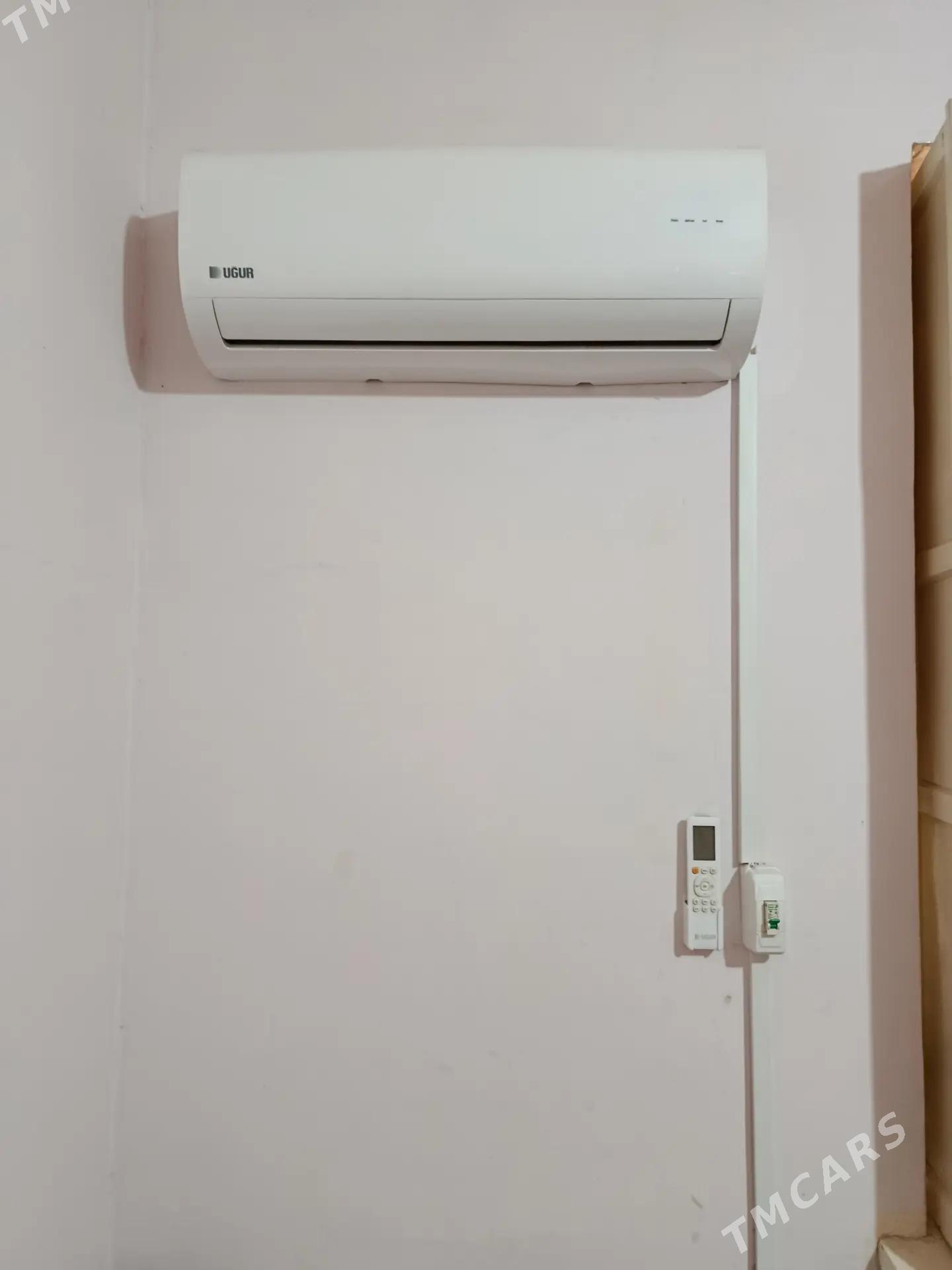 konsionner - Mary - img 2