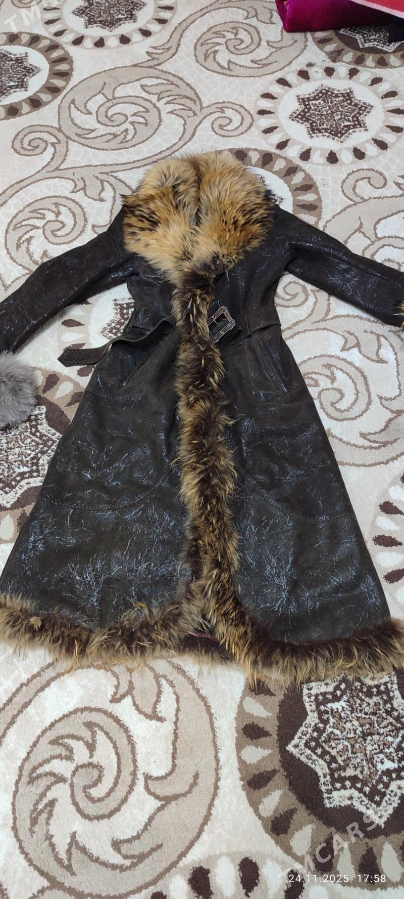 PALTO - Daşoguz - img 1