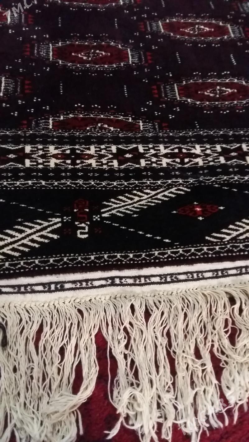 el haly - Balkanabat - img 2