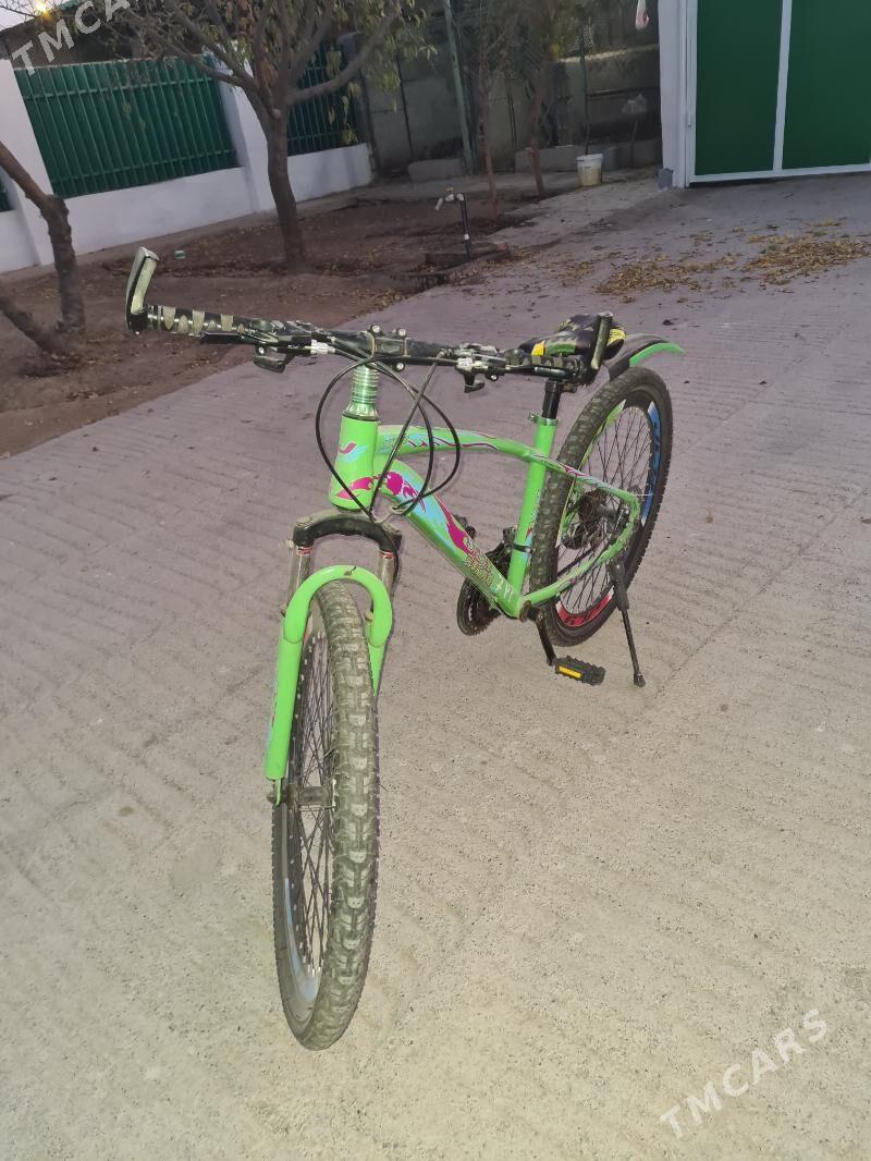 Tigir - Тязе заман - img 3