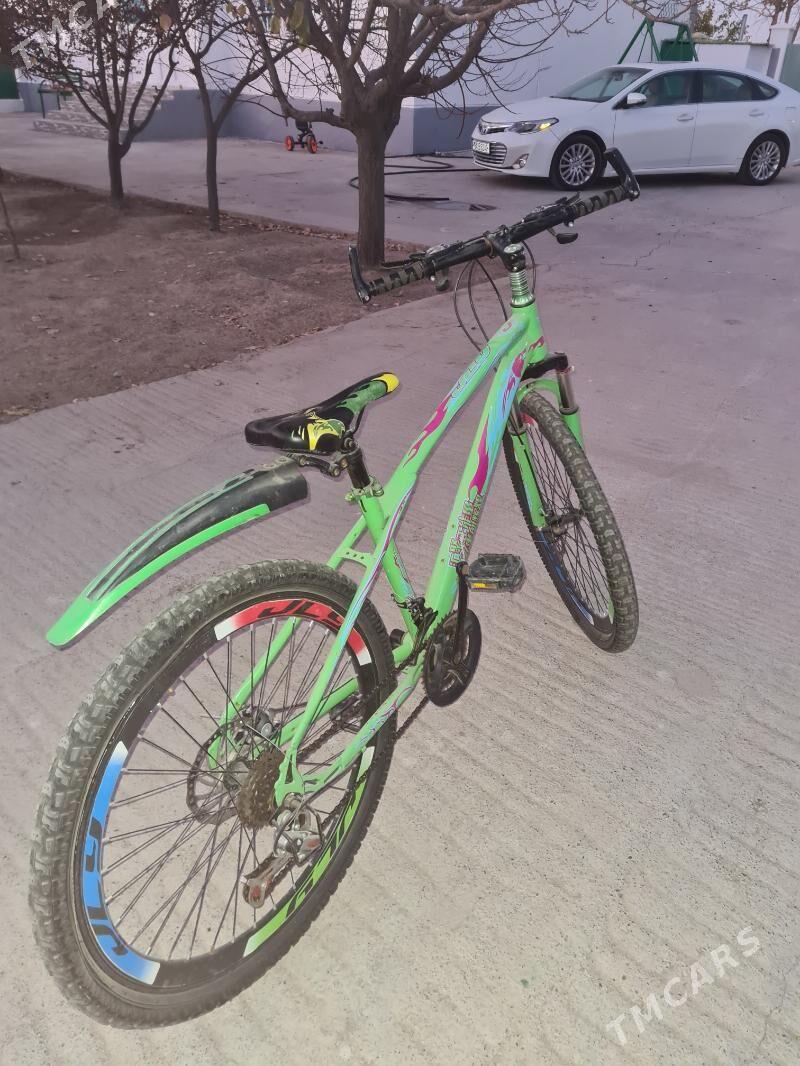 Tigir - Тязе заман - img 2