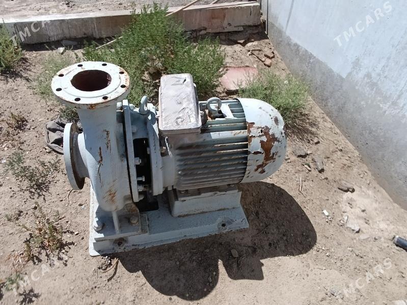 Suw nasos - Bereket - img 2