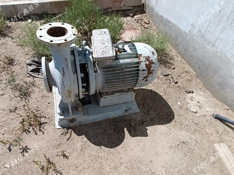 Suw nasos - Bereket - img 3