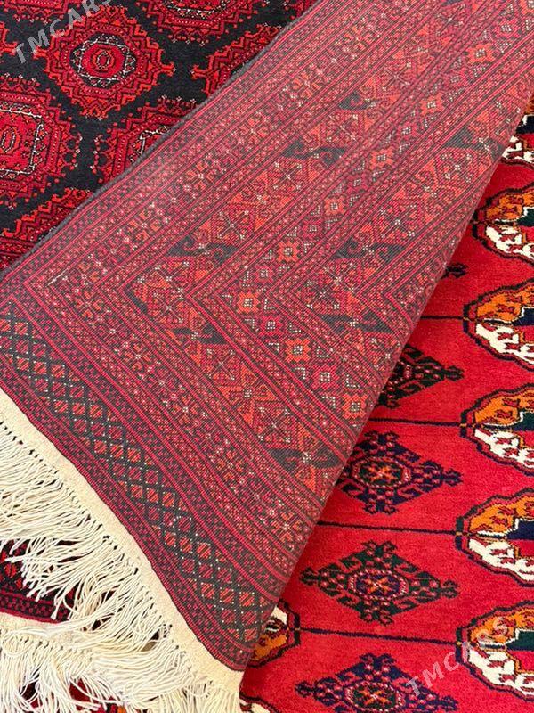 haly owgan - Aşgabat - img 3