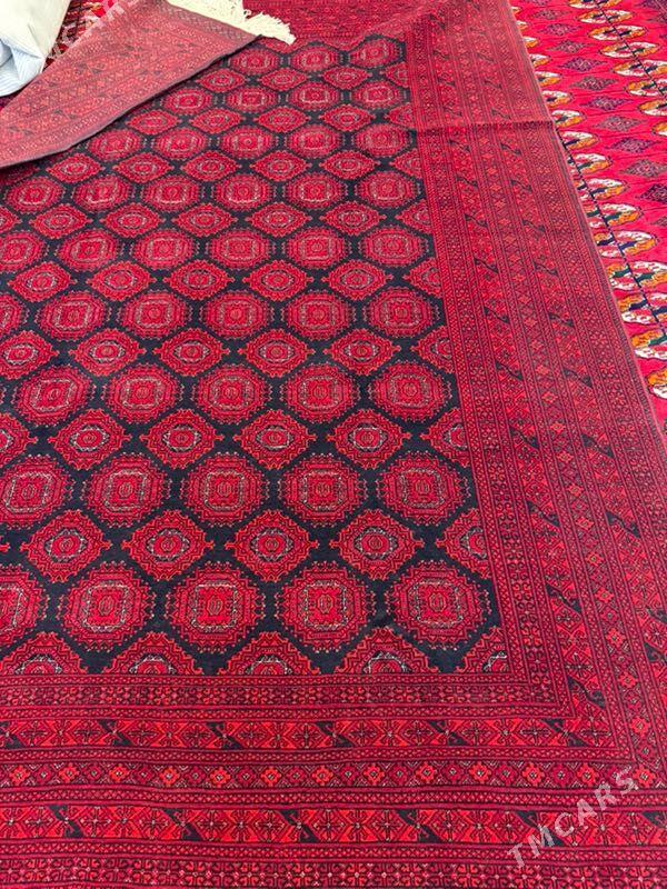 haly owgan - Aşgabat - img 1