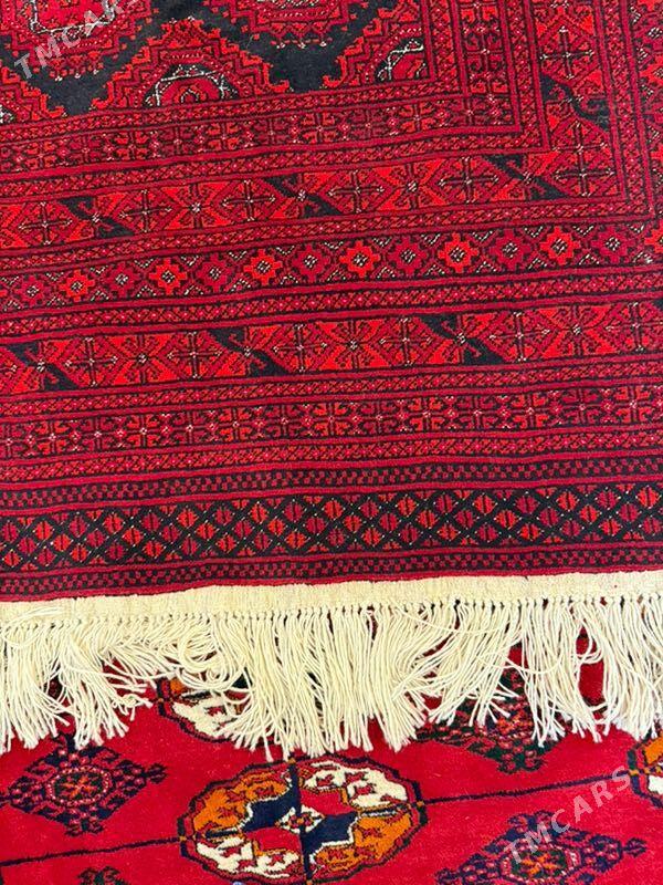 haly owgan - Aşgabat - img 2