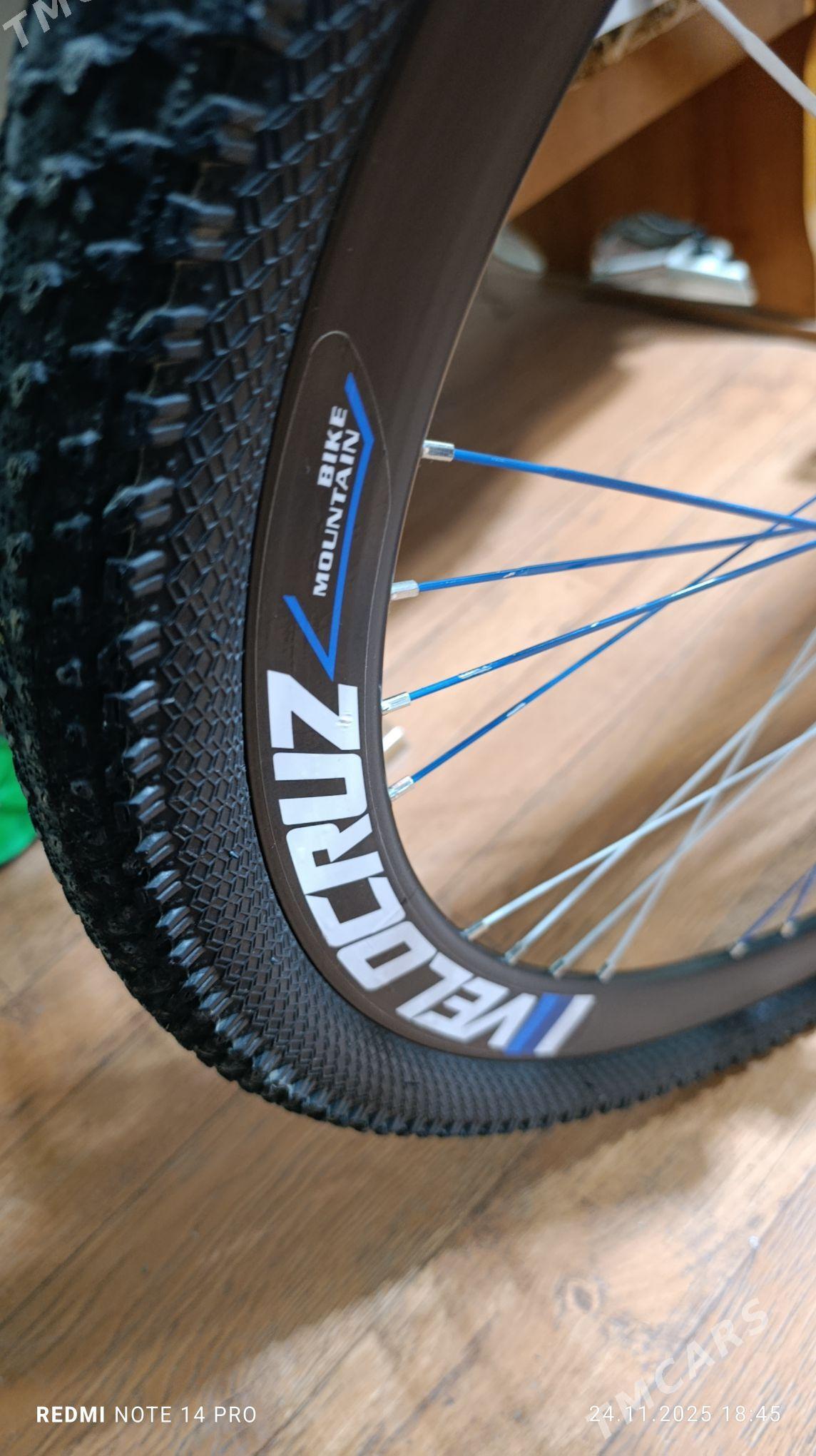 tigir - Büzmeýin GRES - img 2