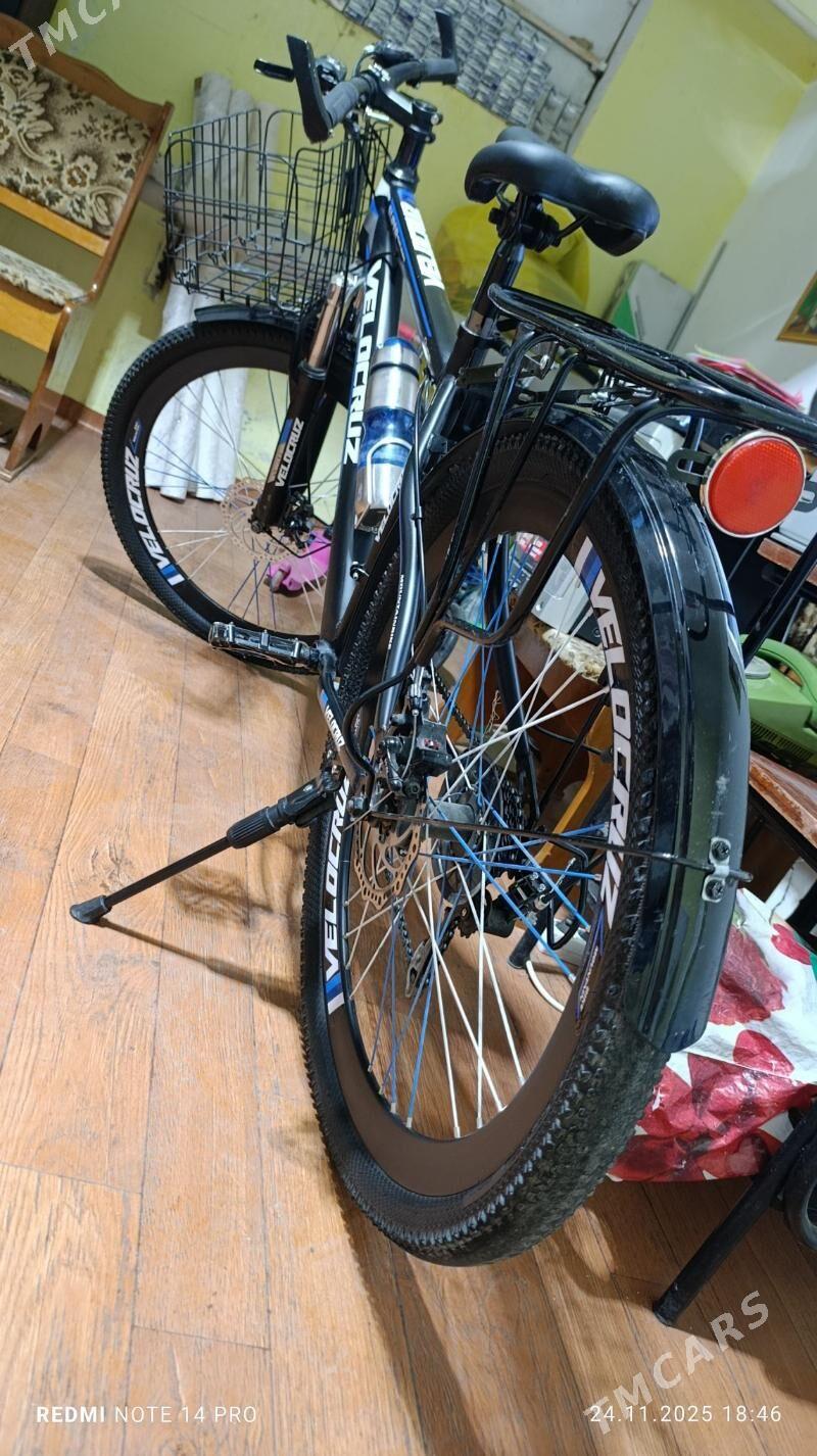 tigir - Büzmeýin GRES - img 3