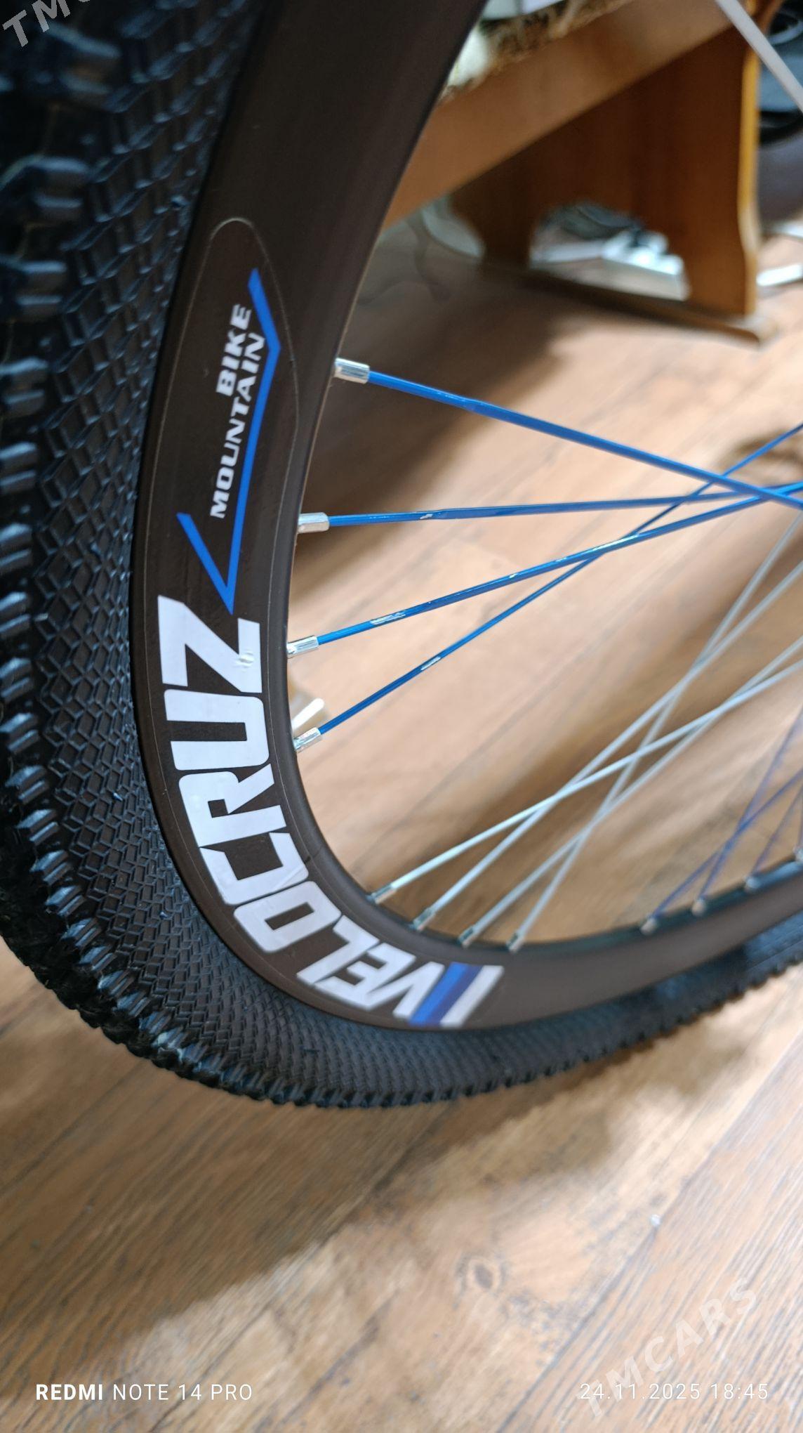 tigir - Büzmeýin GRES - img 9