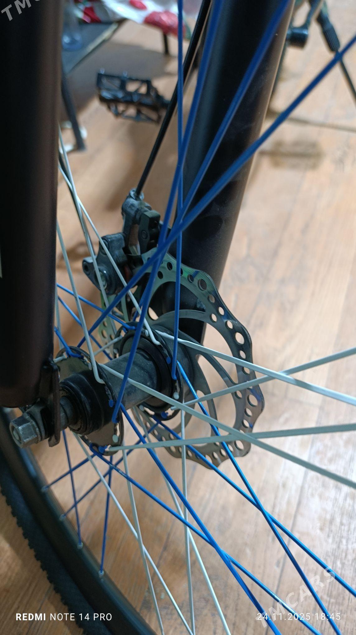 tigir - Büzmeýin GRES - img 6