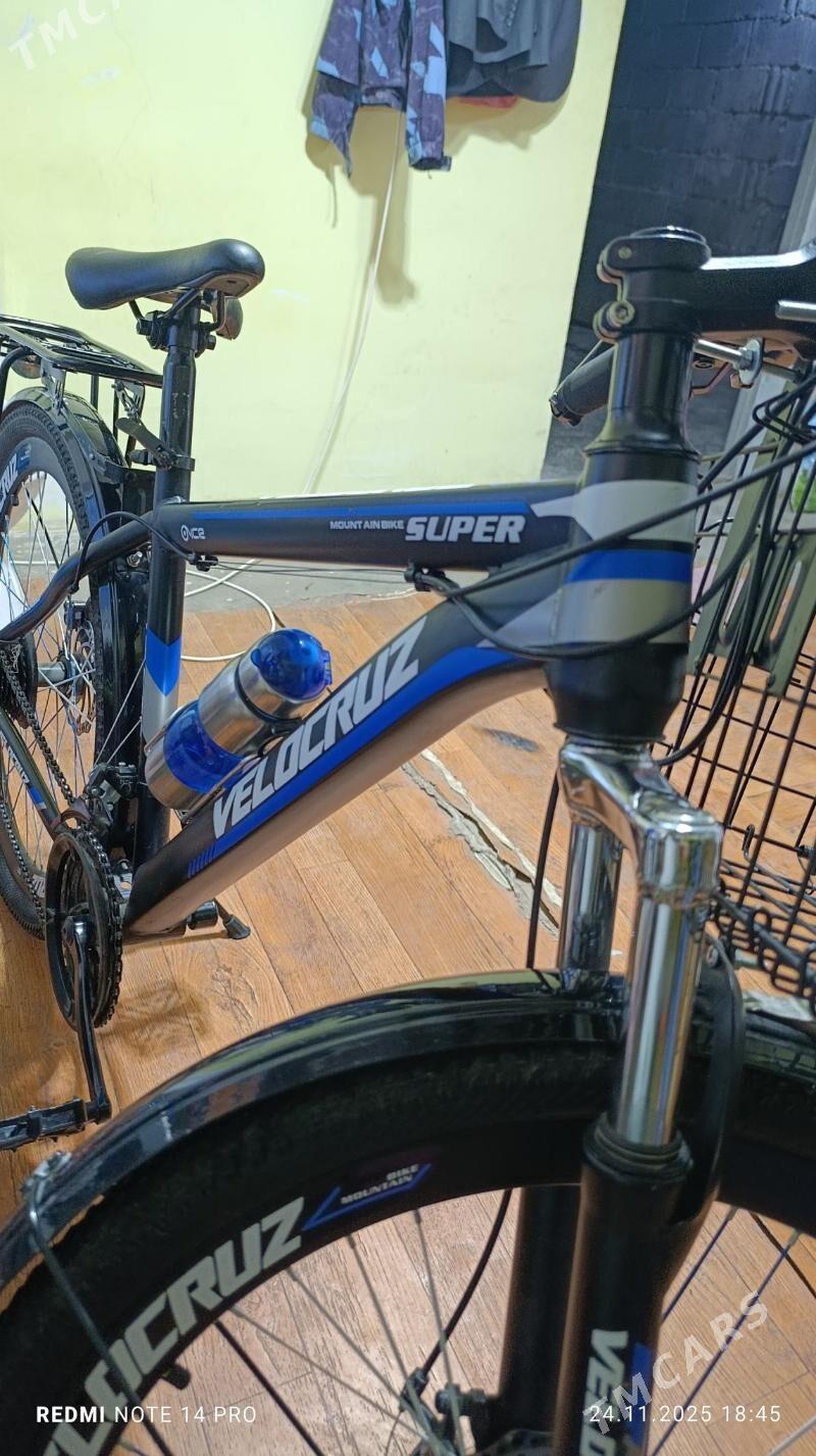 tigir - Büzmeýin GRES - img 7