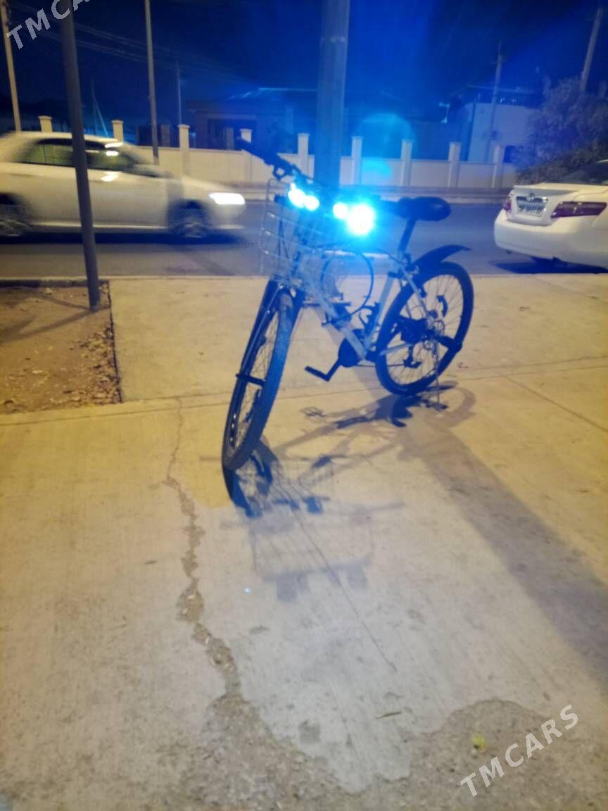 tigir - Гарадамак Шор - img 1