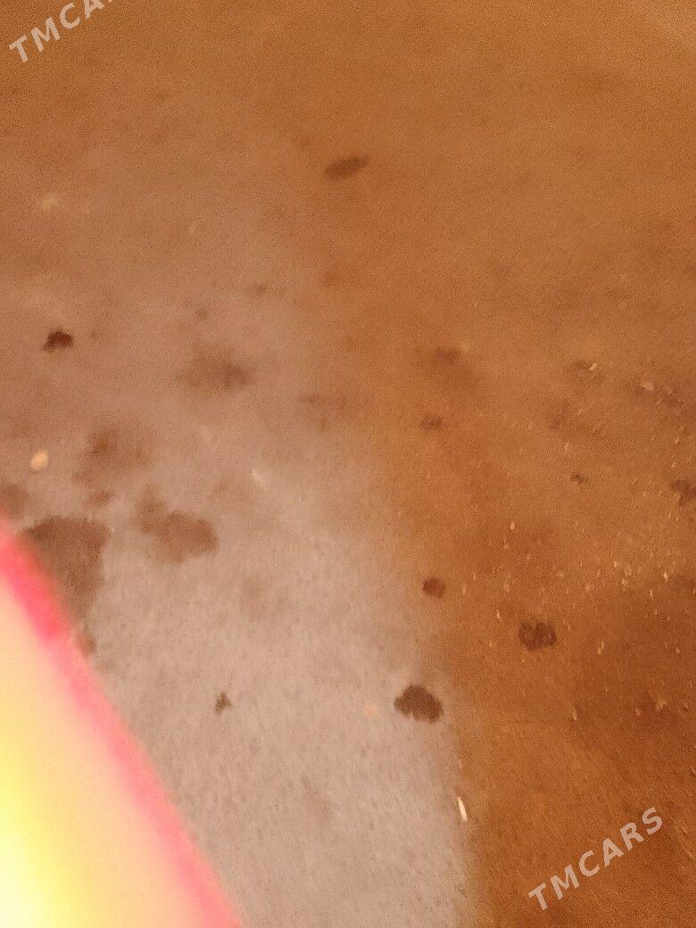 welik zapjas - Гызыларбат - img 4