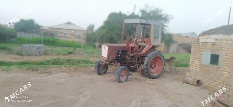 MTZ 80 1997 - 20 000 TMT - Sakarçäge - img 1