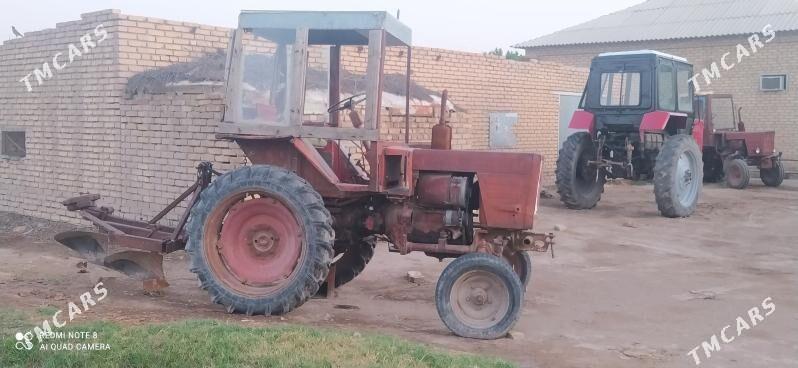 MTZ 80 1997 - 20 000 TMT - Sakarçäge - img 4