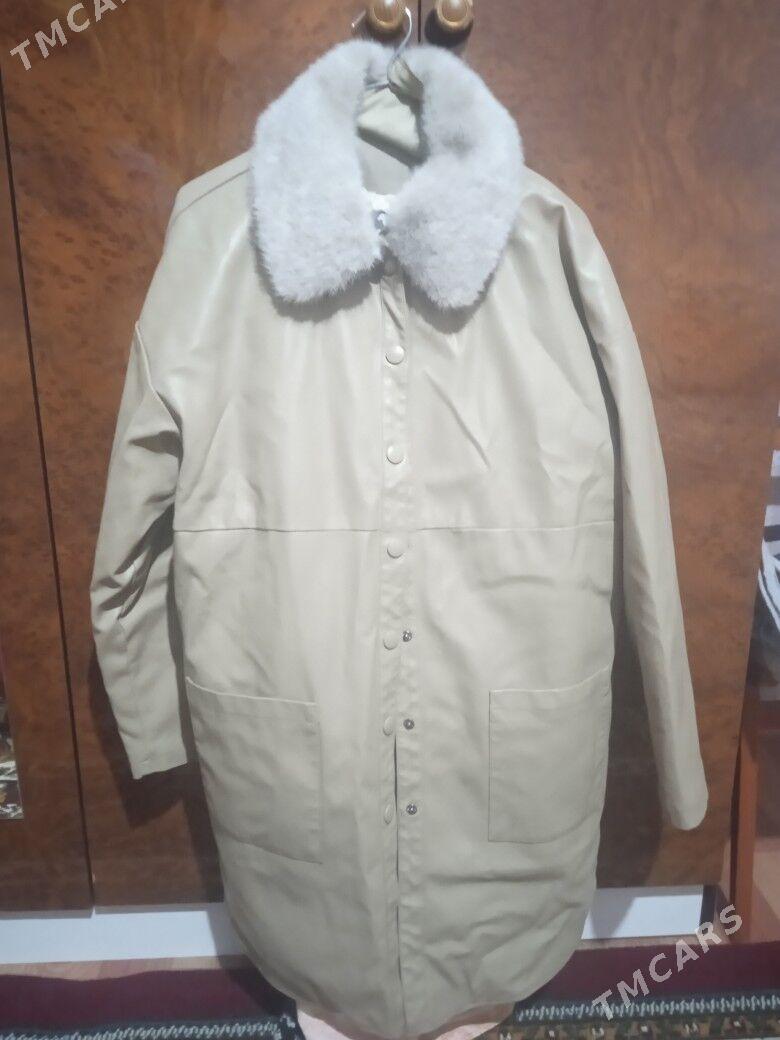 kurtga - Türkmenabat - img 2