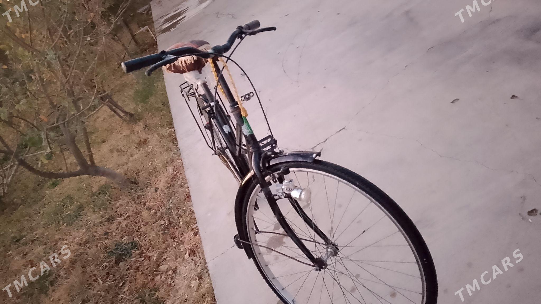 welsepit - Ak bugdaý etraby - img 2