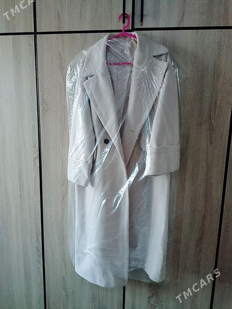 Palto - Daşoguz - img 2