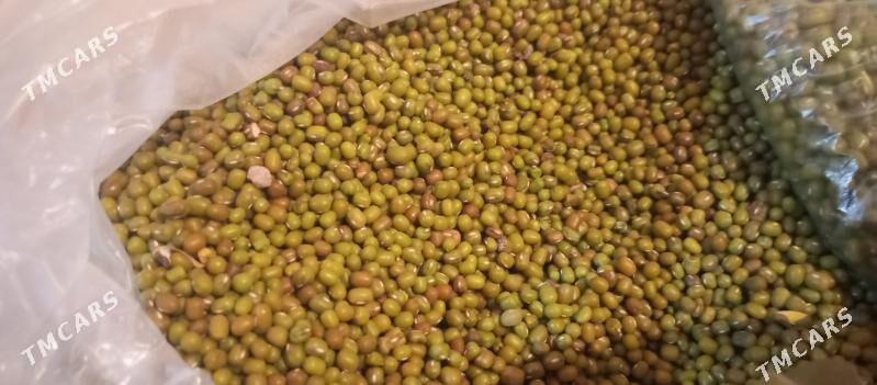 ýerli mäş - Ýolöten - img 2