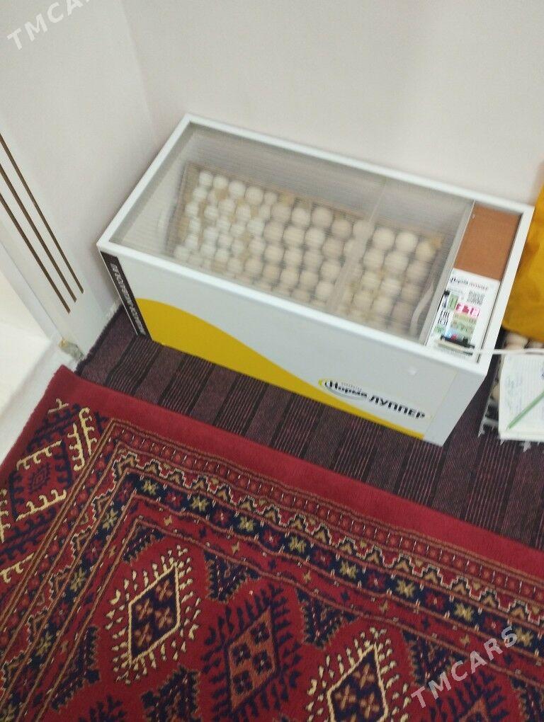 inkiwator - Балканабат - img 1