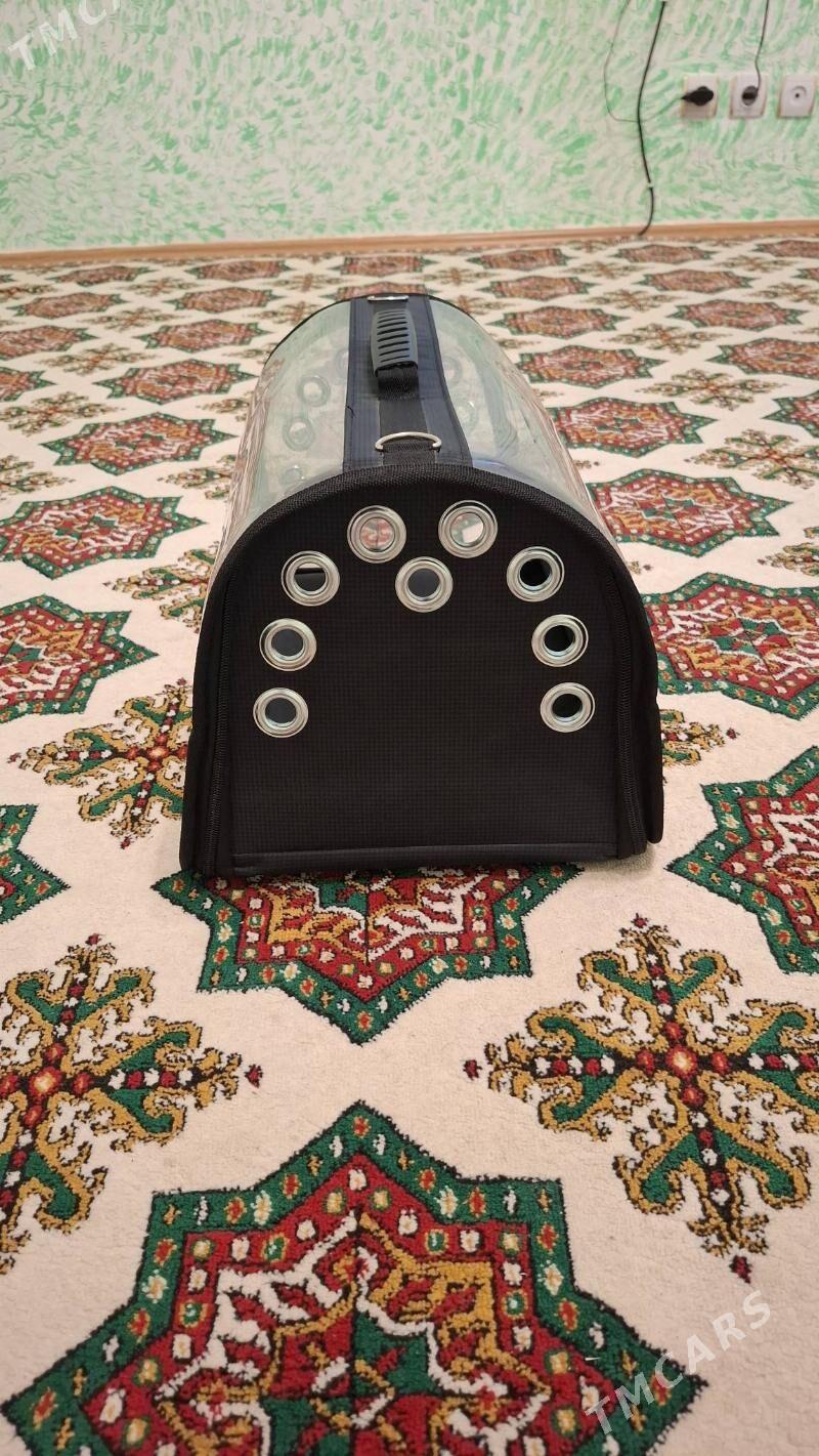 pişik sumkasy - Ашхабад - img 5