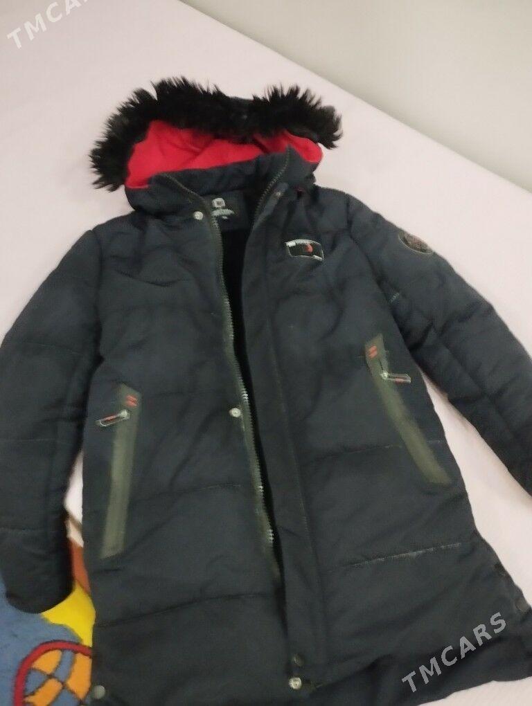 Kurtga - Daşoguz - img 3