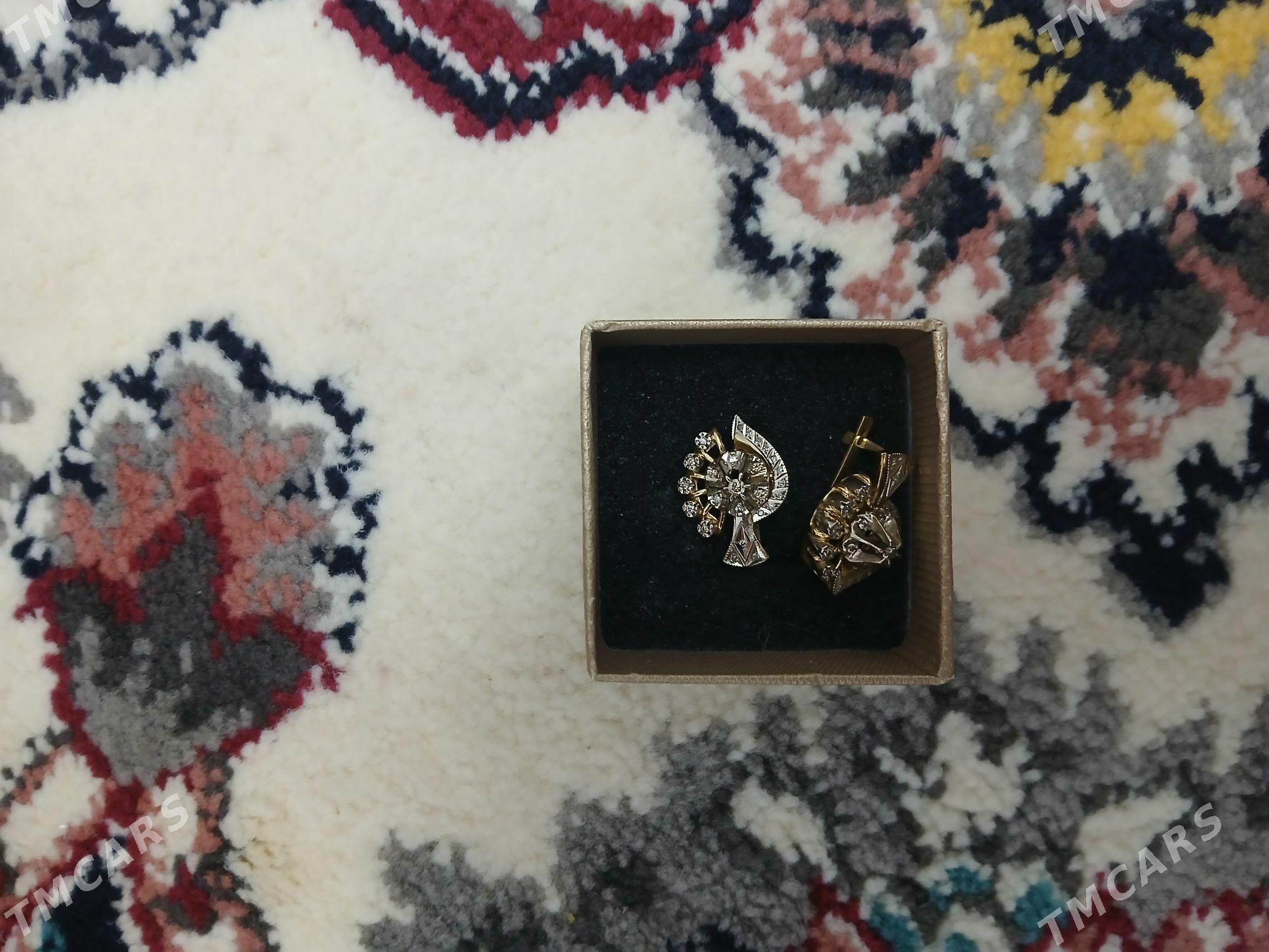 Yerewan gadymy syrga - Mary - img 2