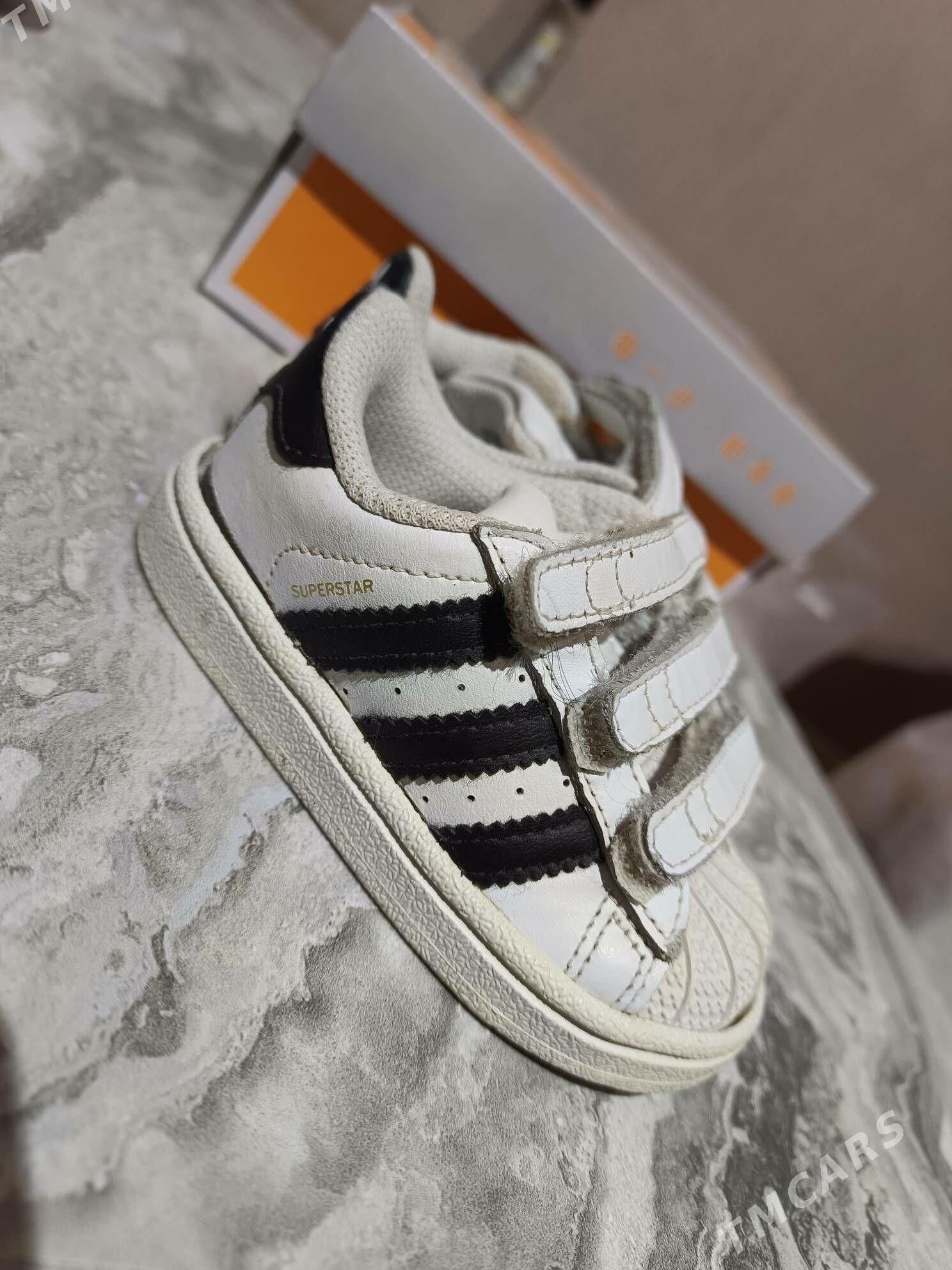 krassovki - Дашогуз - img 6