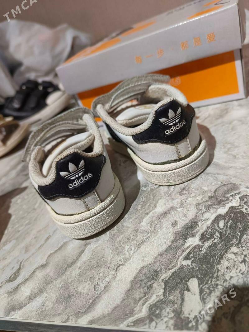 krassovki - Дашогуз - img 9