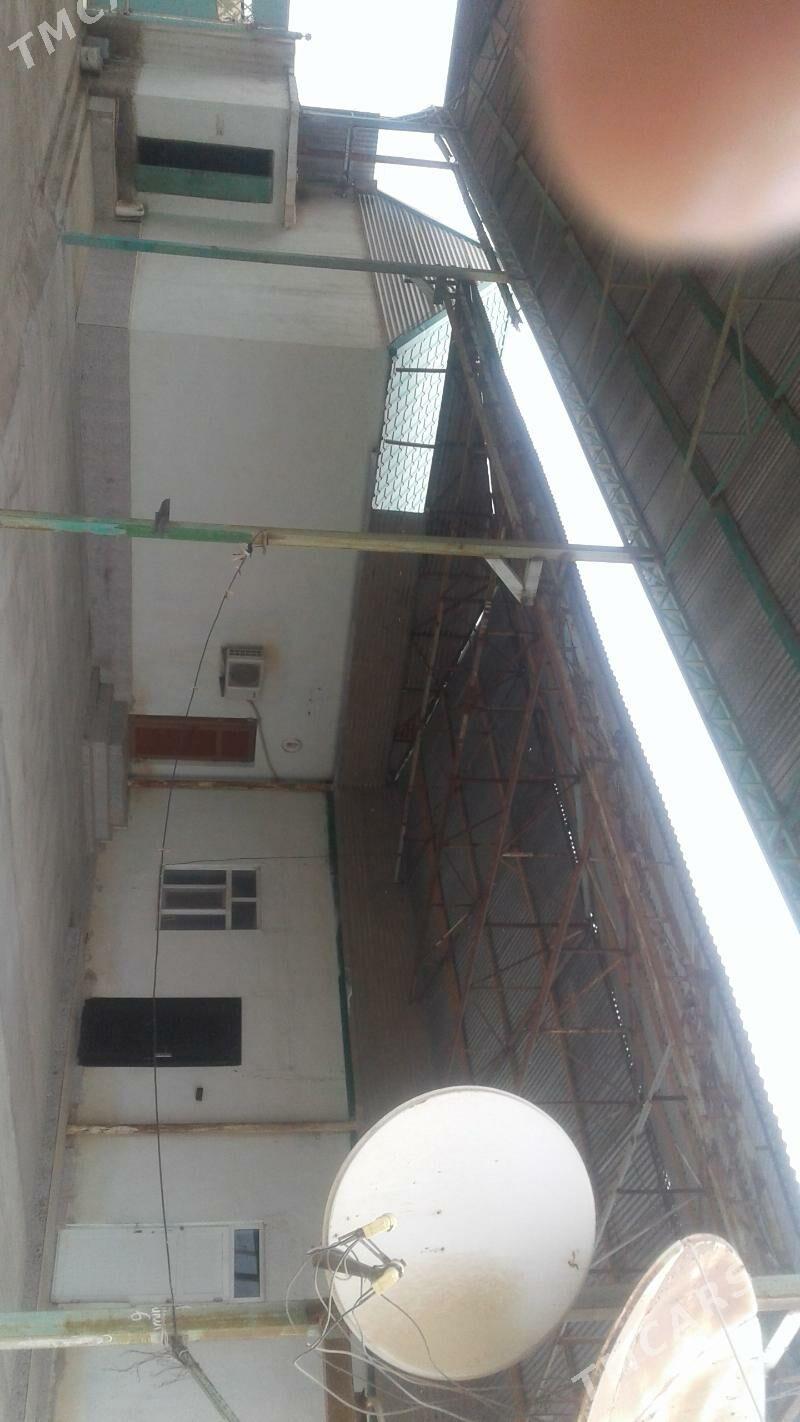 Tejen Jay - Теджен - img 5