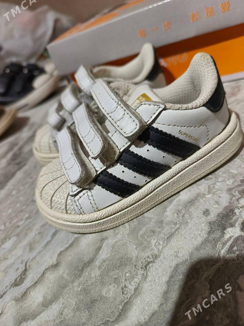 krassovki - Дашогуз - img 8