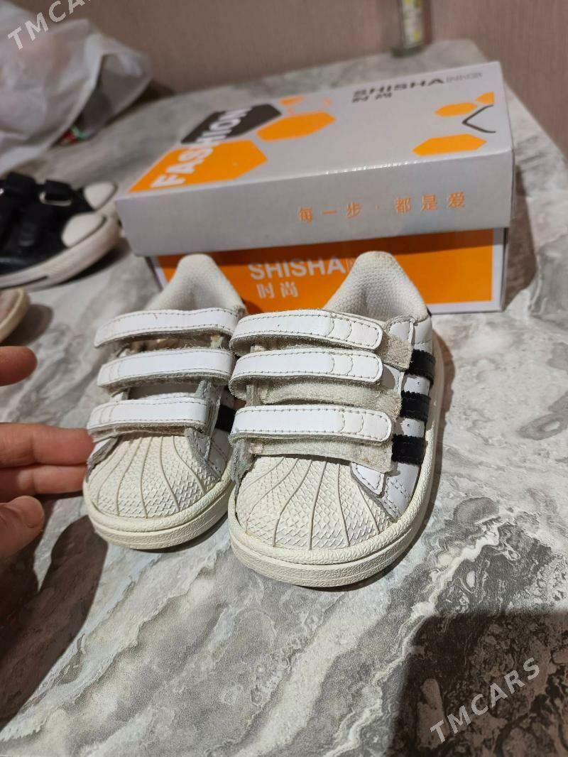 krassovki - Дашогуз - img 7