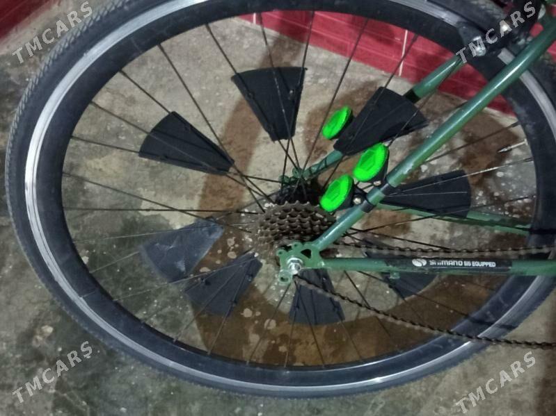 welsepit - Mary - img 2