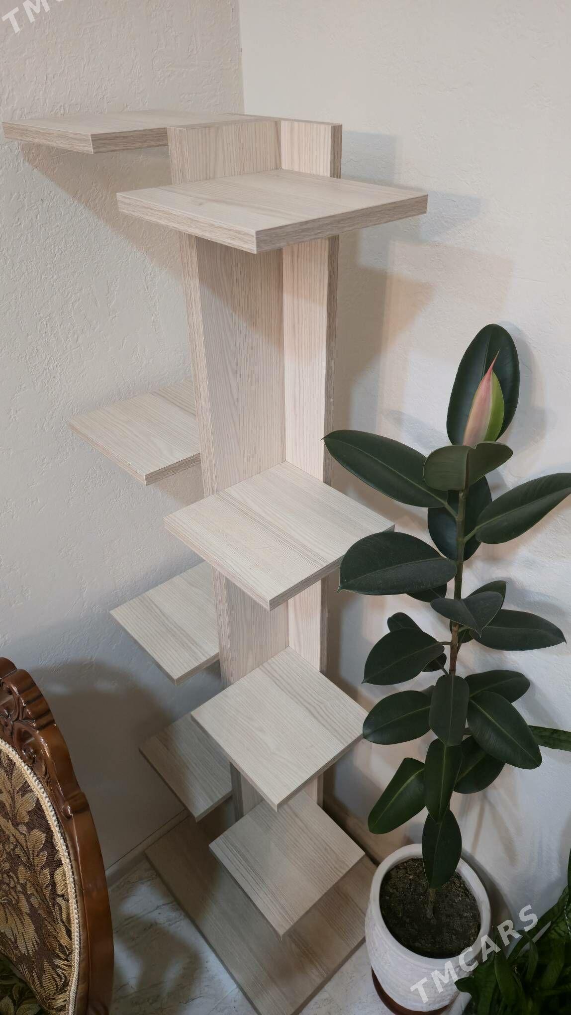 Полка - Ашхабад - img 1