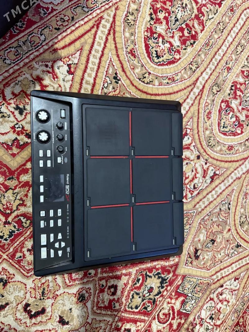 Roland sempl - Гаудан "В" - img 3