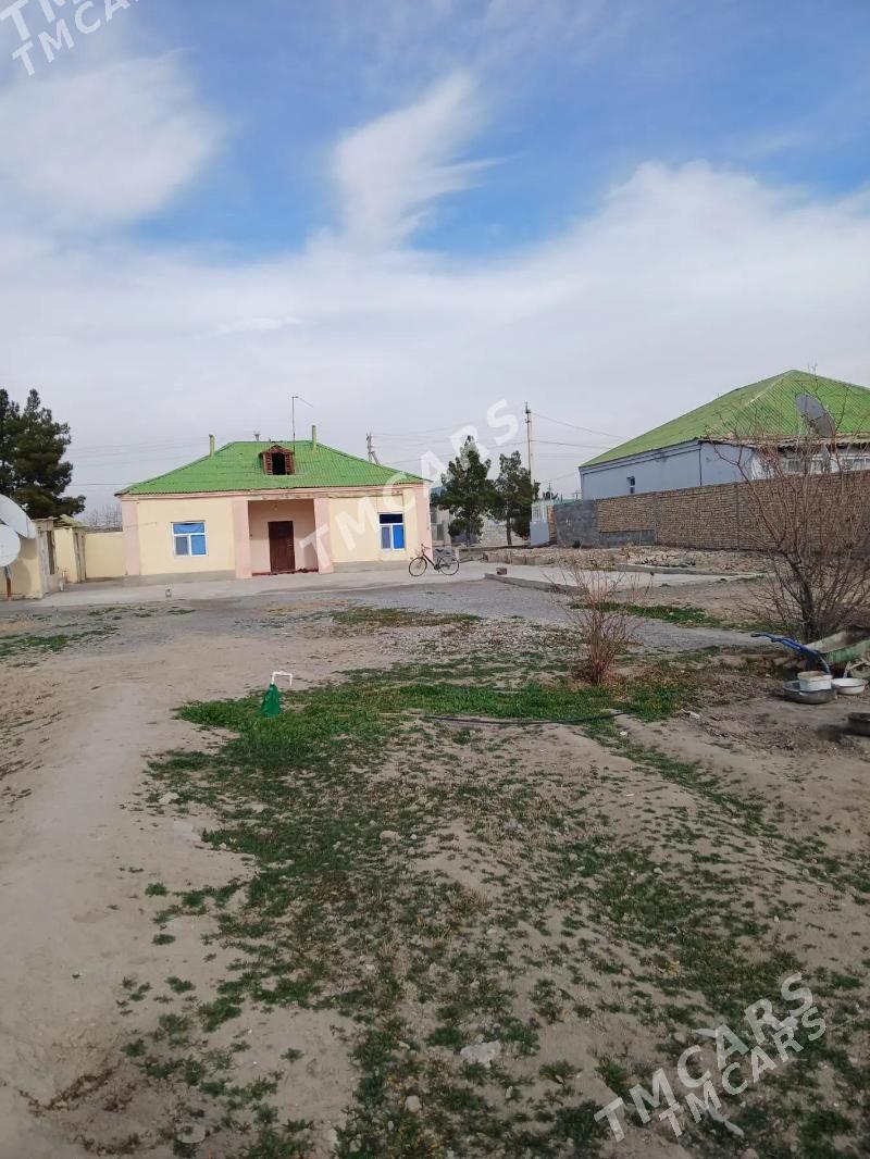 Yasmansalyk - Aşgabat - img 6