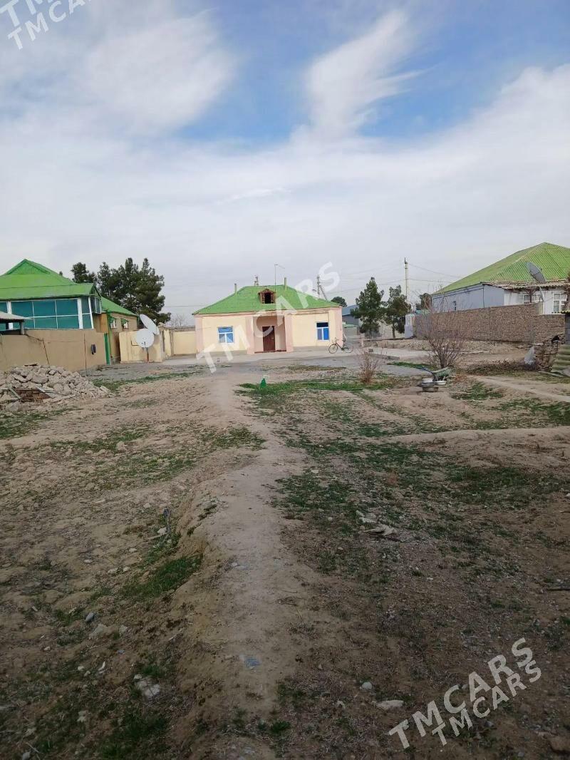 Yasmansalyk - Aşgabat - img 2