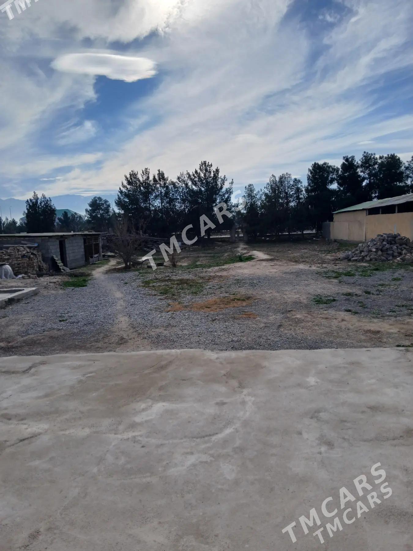 Yasmansalyk - Aşgabat - img 3