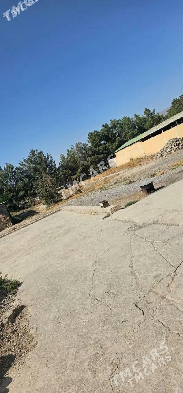 Yasmansalyk - Aşgabat - img 5