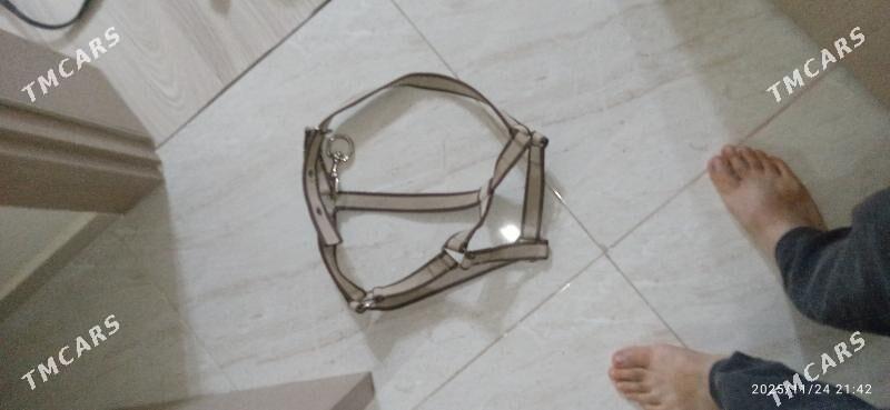 eýer седло - Gurtly - img 7