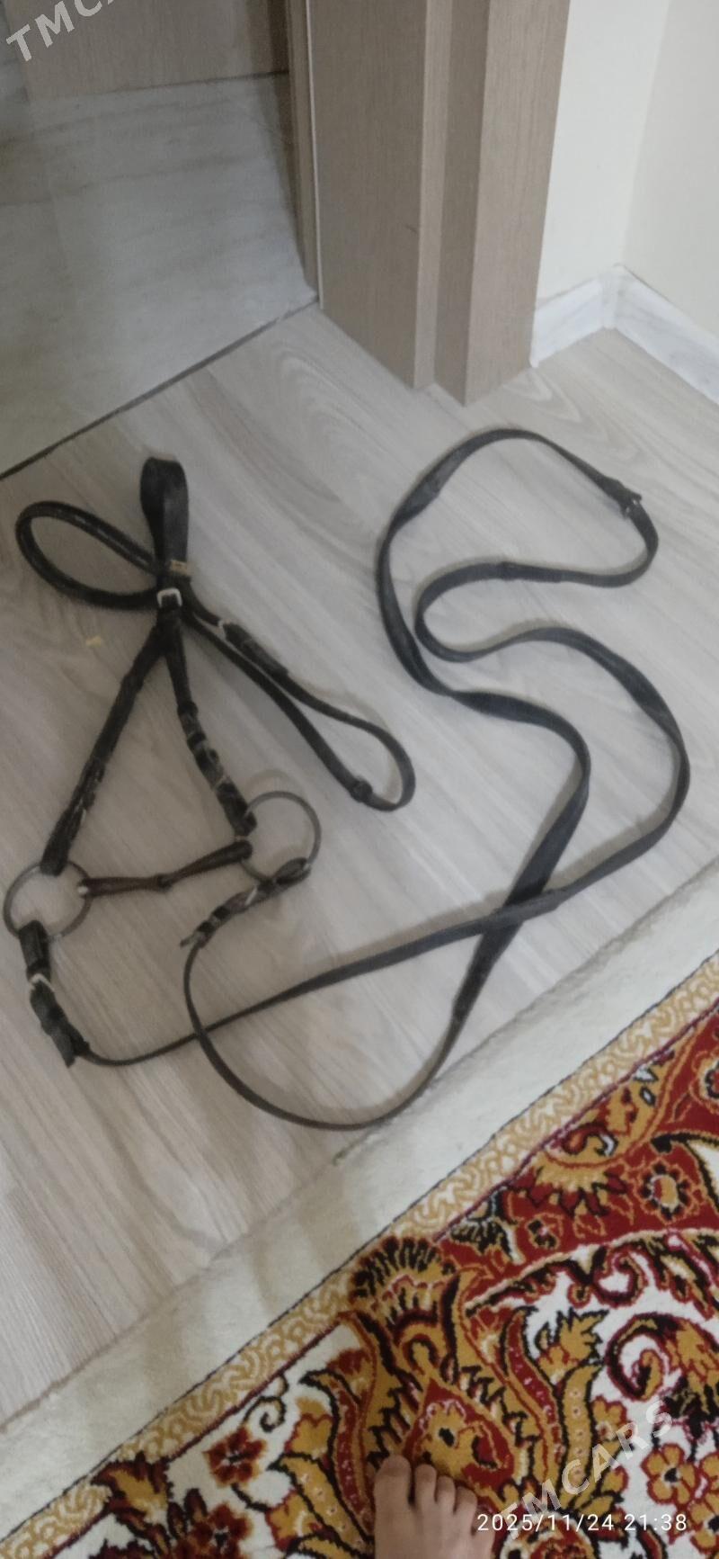 eýer седло - Gurtly - img 4