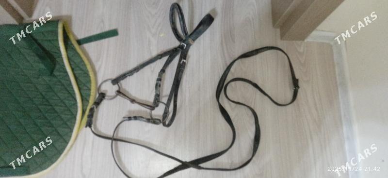 eýer седло - Gurtly - img 8